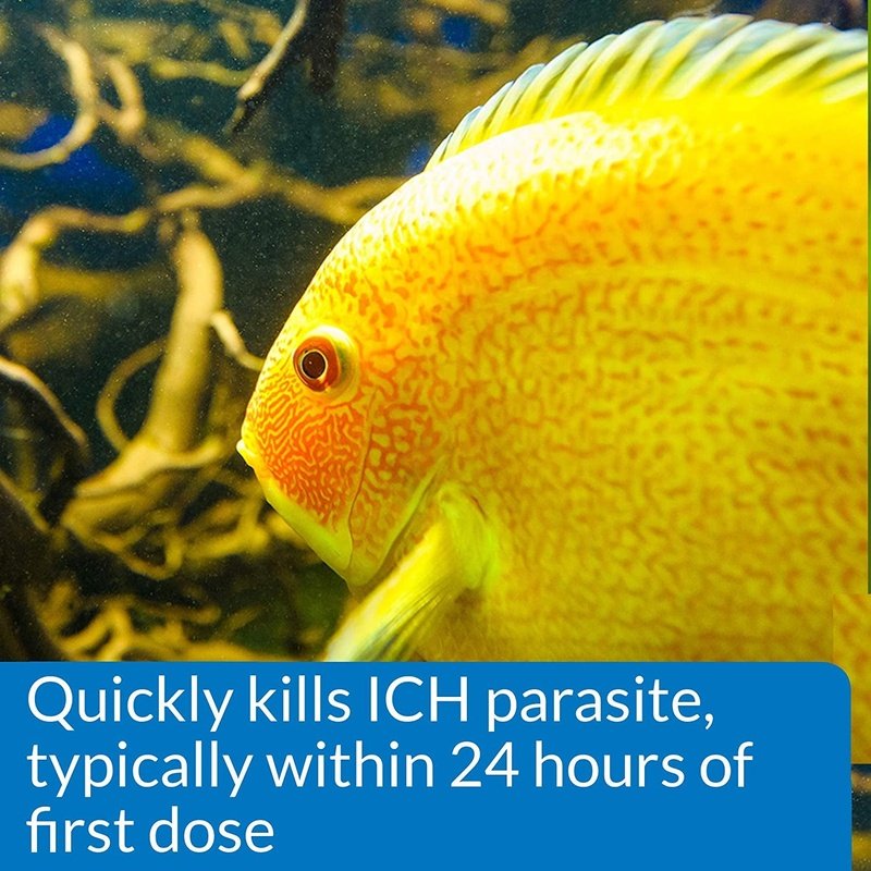 API Super Ick Cure - Aquatic Connect