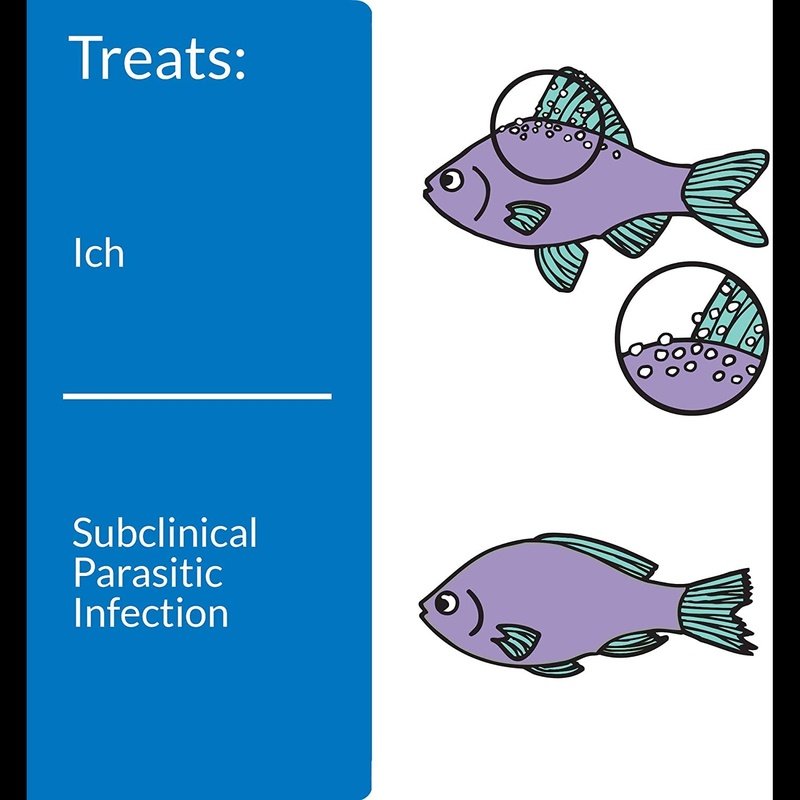API Super Ick Cure - Aquatic Connect