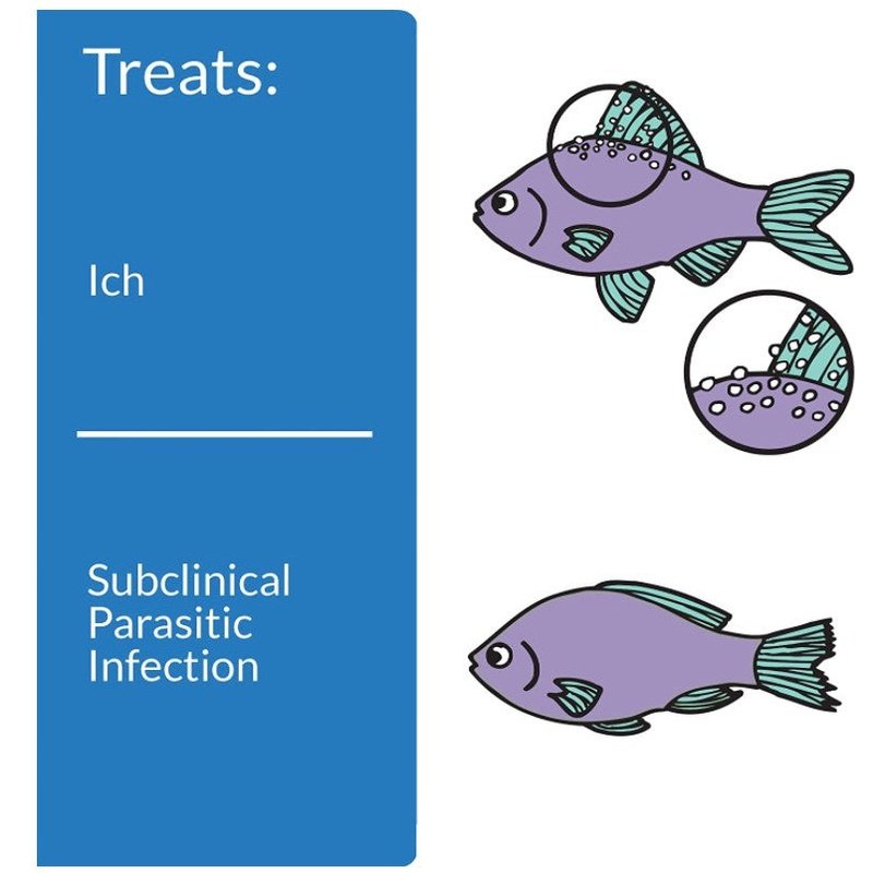 API Super Ick Cure - Aquatic Connect