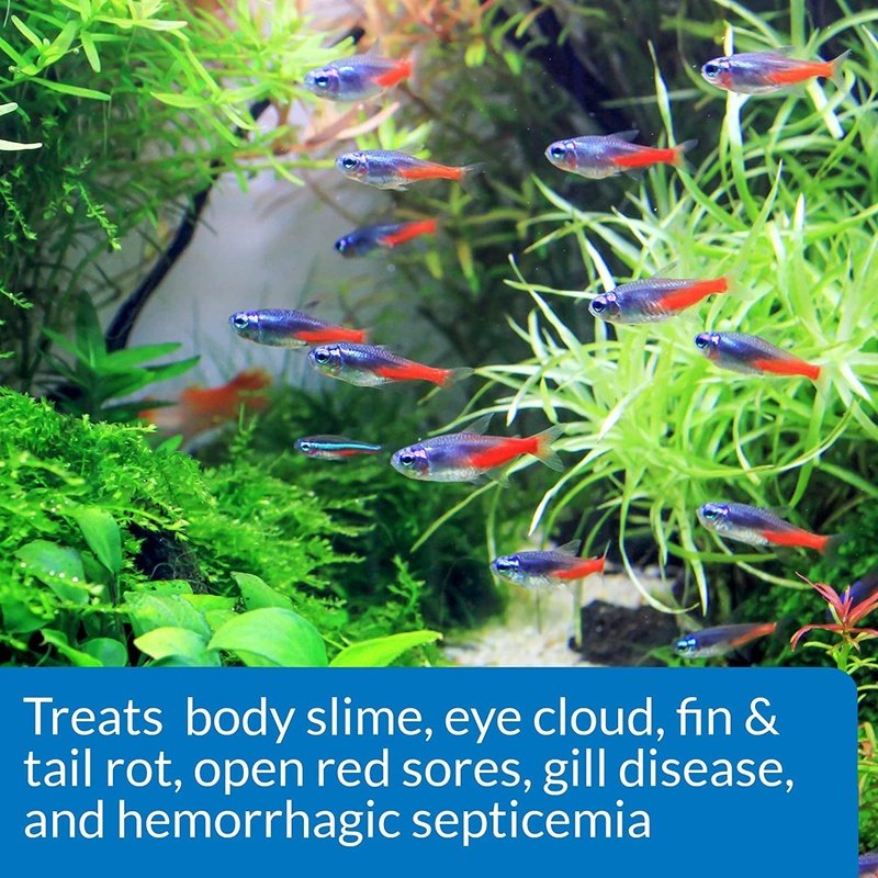 API Fin and Body Cure - Aquatic Connect