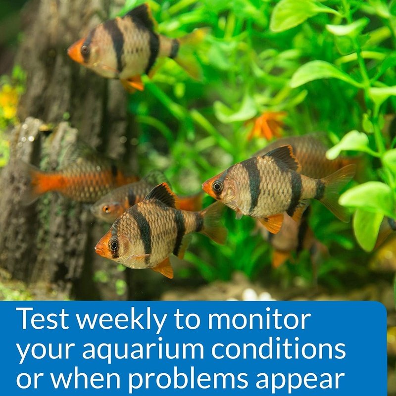 API Phosphate Test Kit - Aquatic Connect