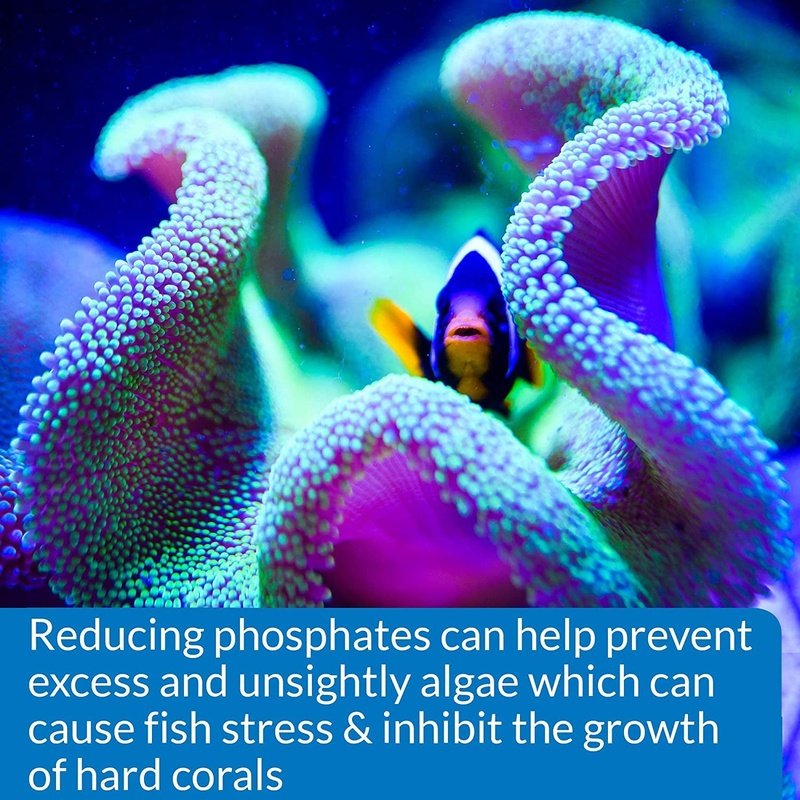 API Phosphate Test Kit - Aquatic Connect