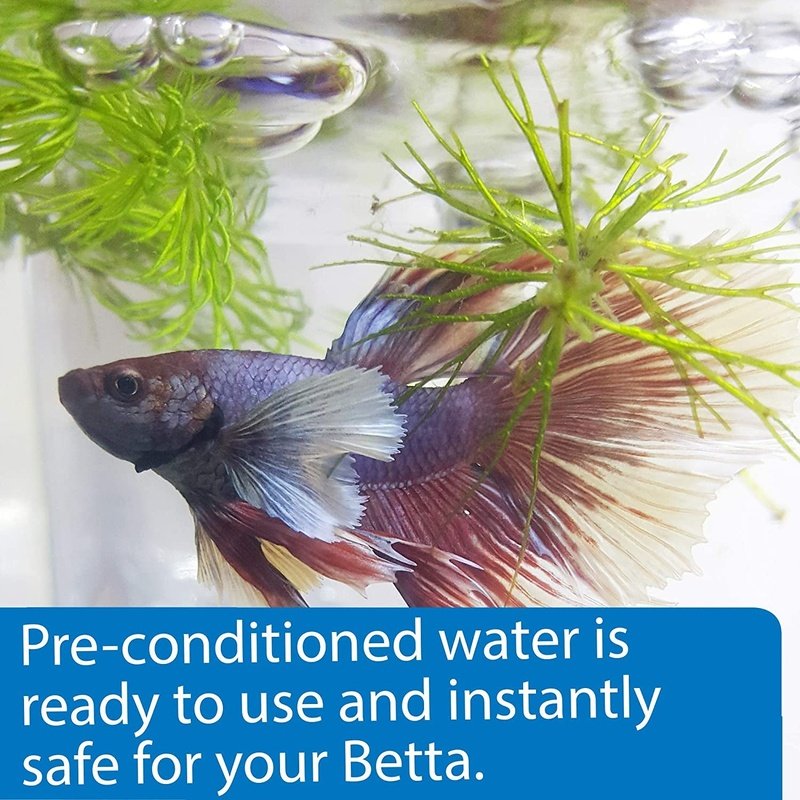 API Betta Water - Aquatic Connect