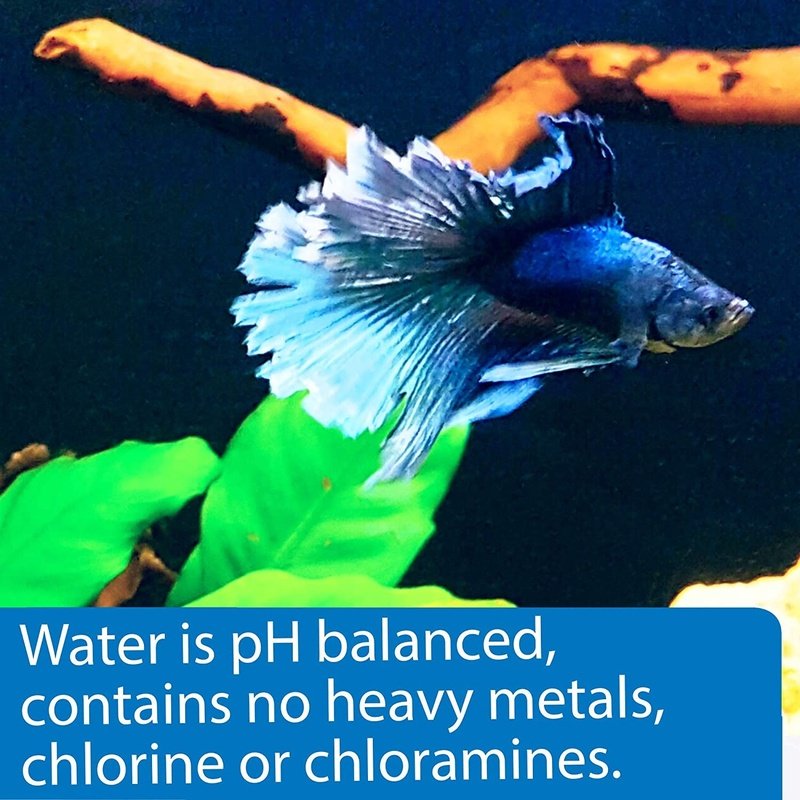 API Betta Water - Aquatic Connect