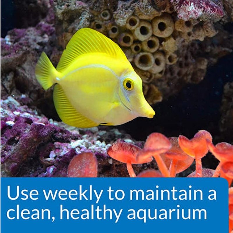 API Marine Stress Zyme - Aquatic Connect