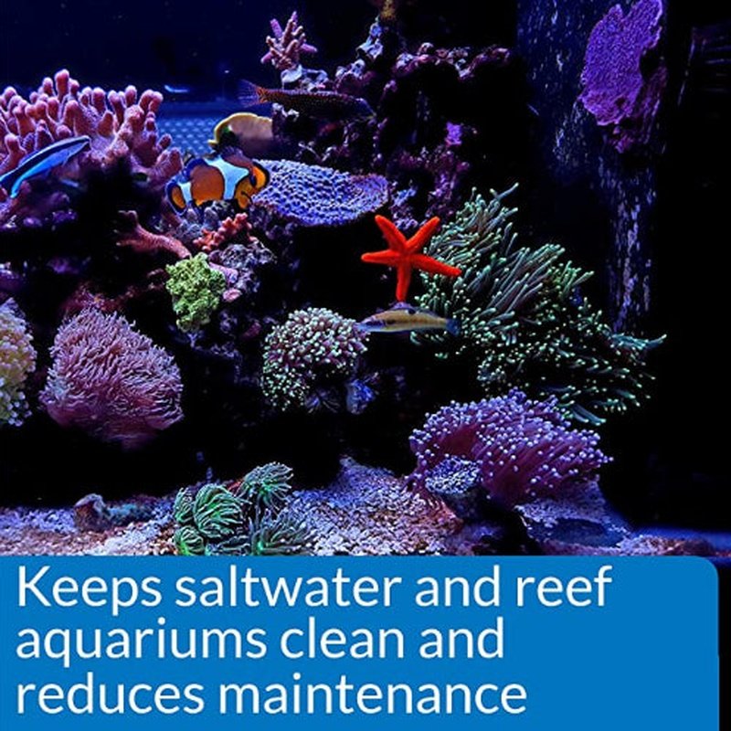 API Marine Stress Zyme - Aquatic Connect
