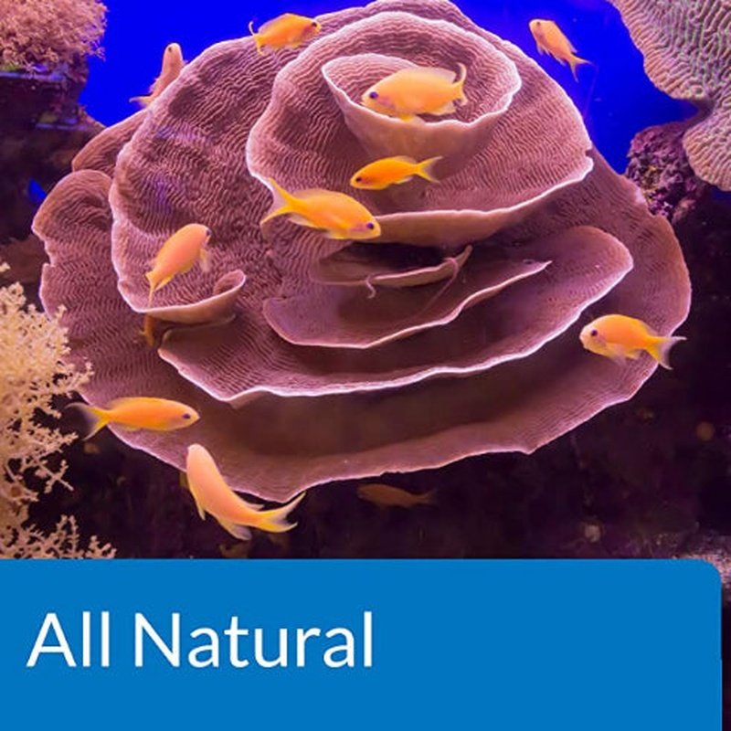 API Marine Stress Zyme - Aquatic Connect