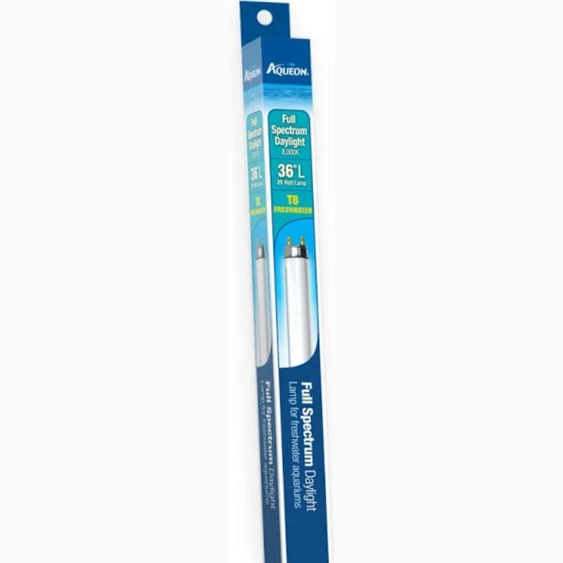 Aqueon T8 Daylight Fluorescent Lamp - Aquatic Connect