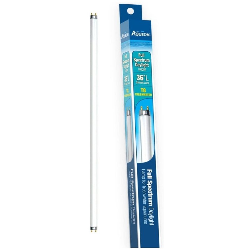 Aqueon T8 Daylight Fluorescent Lamp - Aquatic Connect
