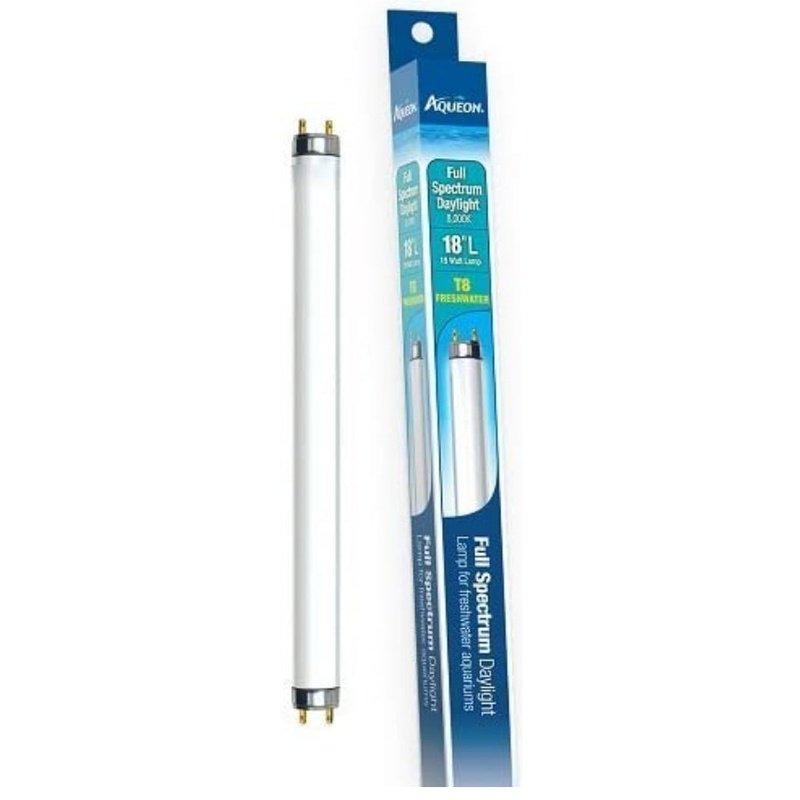 Aqueon T8 Daylight Fluorescent Lamp - Aquatic Connect