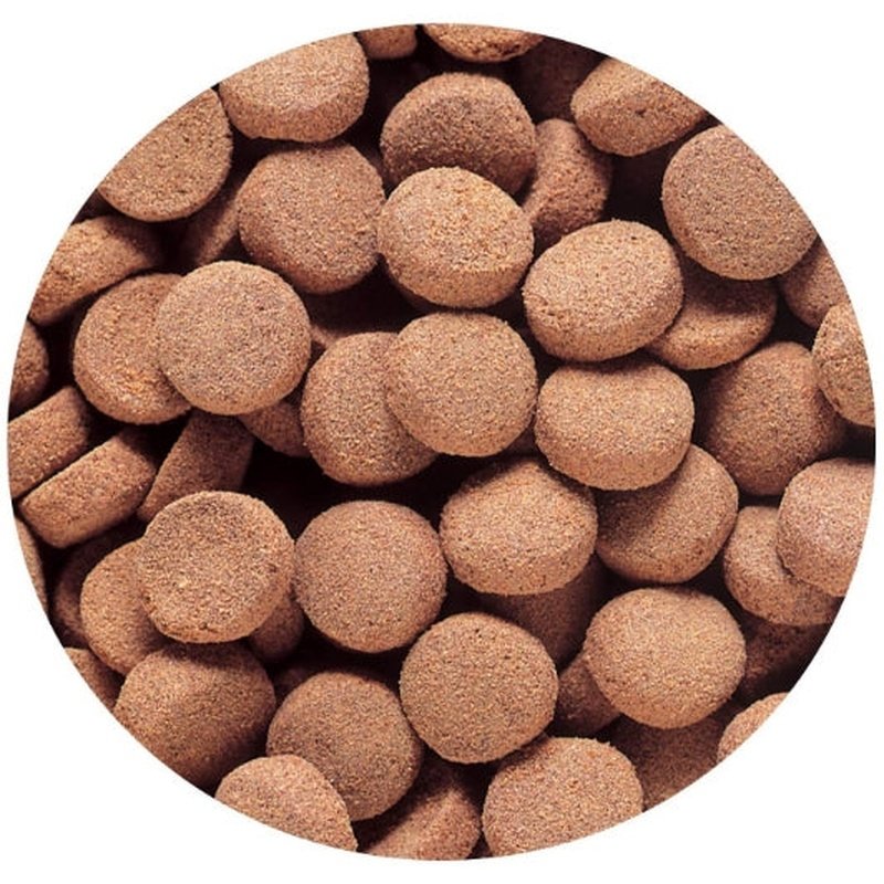 Hikari Massivore Delite Sinking Pellet Food - Aquatic Connect