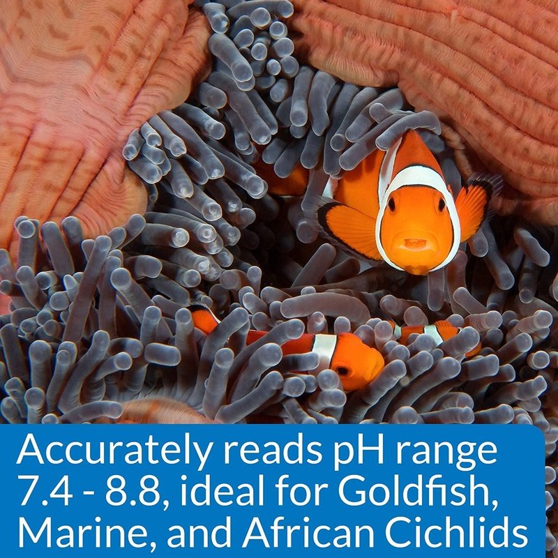 API High Range pH Test Kit - Aquatic Connect