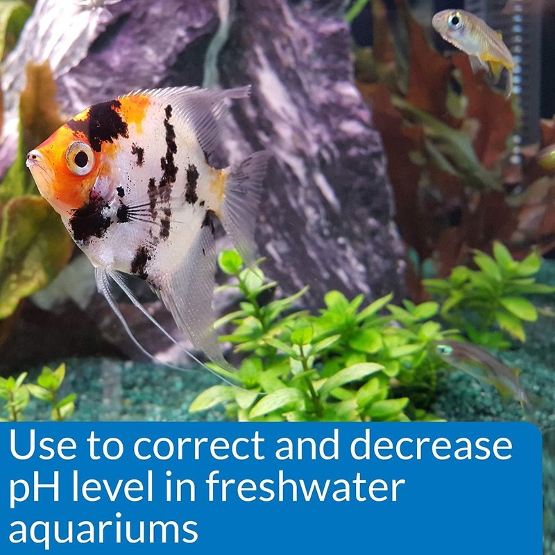 API pH Down - Aquatic Connect