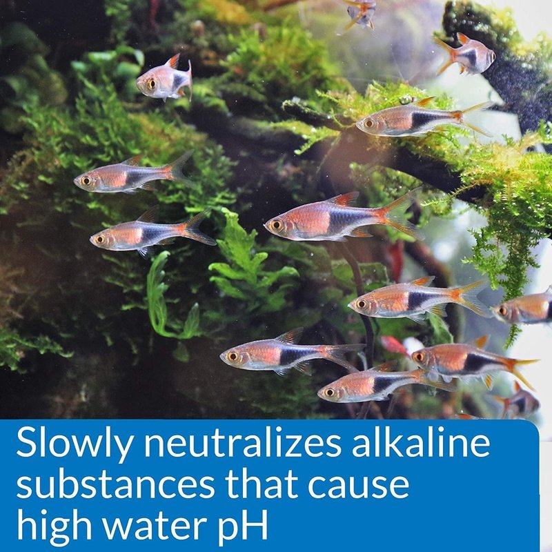 API pH Down - Aquatic Connect