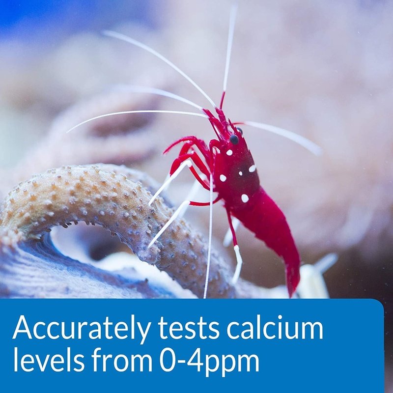 API Calcium Ca2+ Test Kit - Aquatic Connect