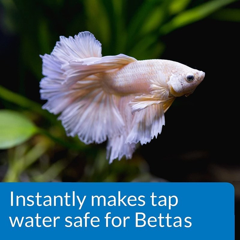 API Betta Water Conditioner - Aquatic Connect