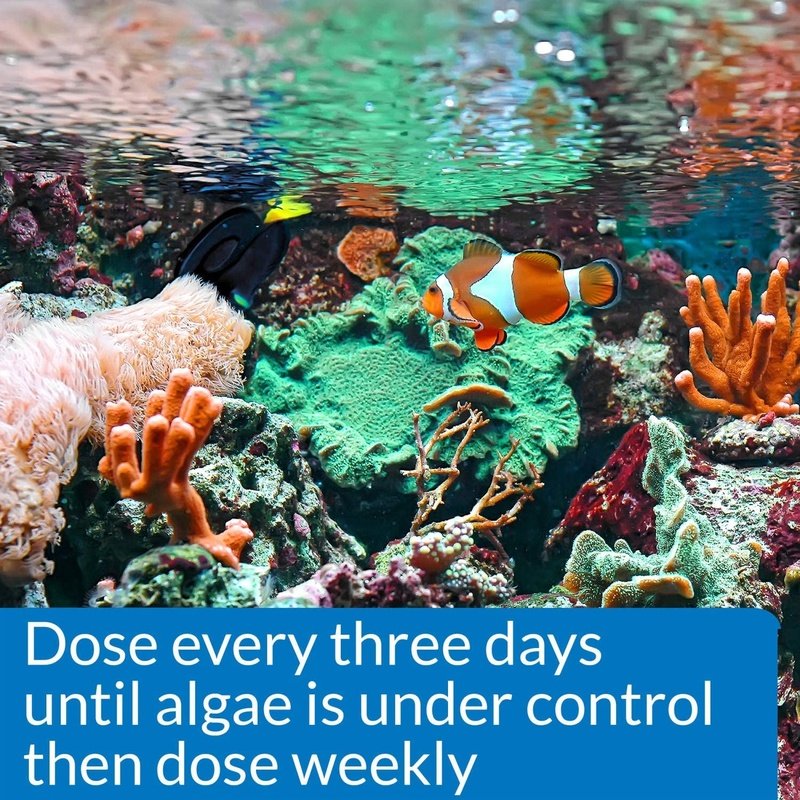 API Marine AlgaeFix - Aquatic Connect