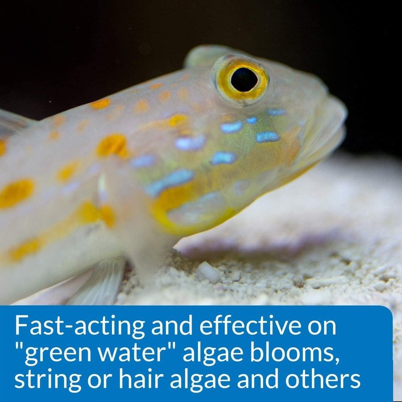API Marine AlgaeFix - Aquatic Connect