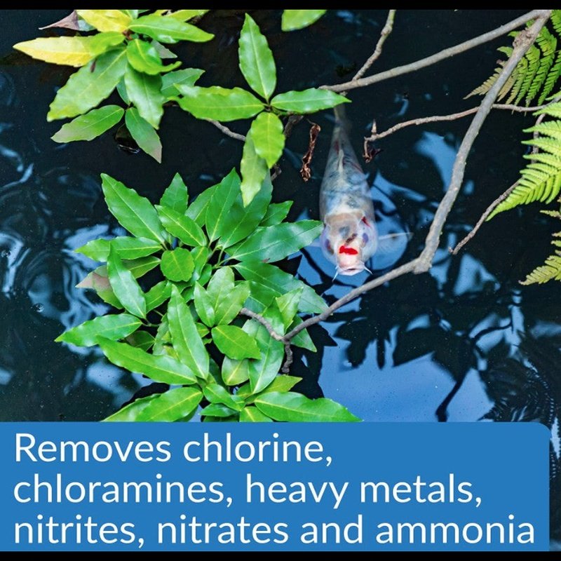 API Pond Aqua Essential - Aquatic Connect
