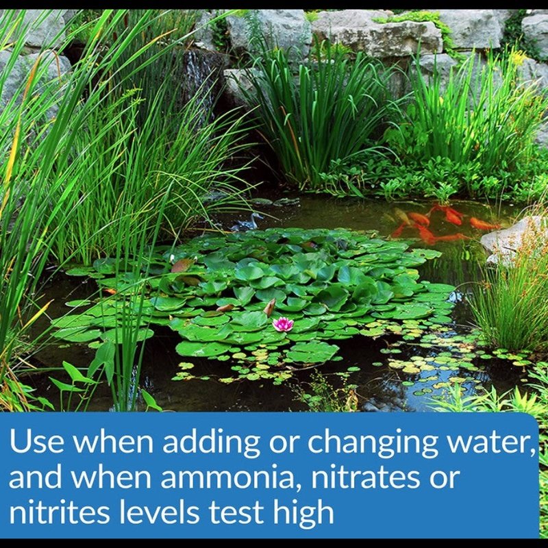 API Pond Aqua Essential - Aquatic Connect