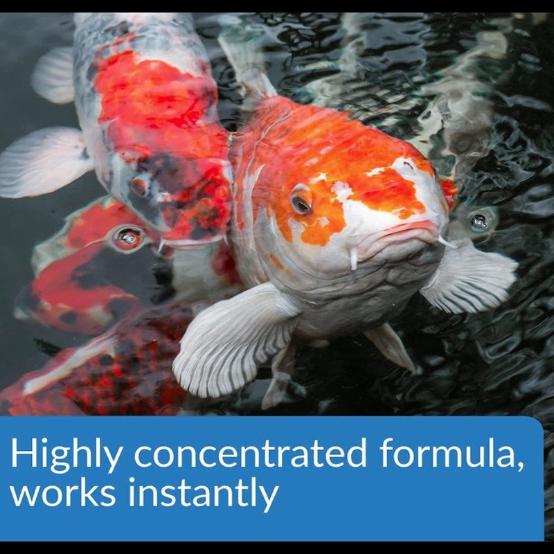 API Pond Aqua Essential - Aquatic Connect