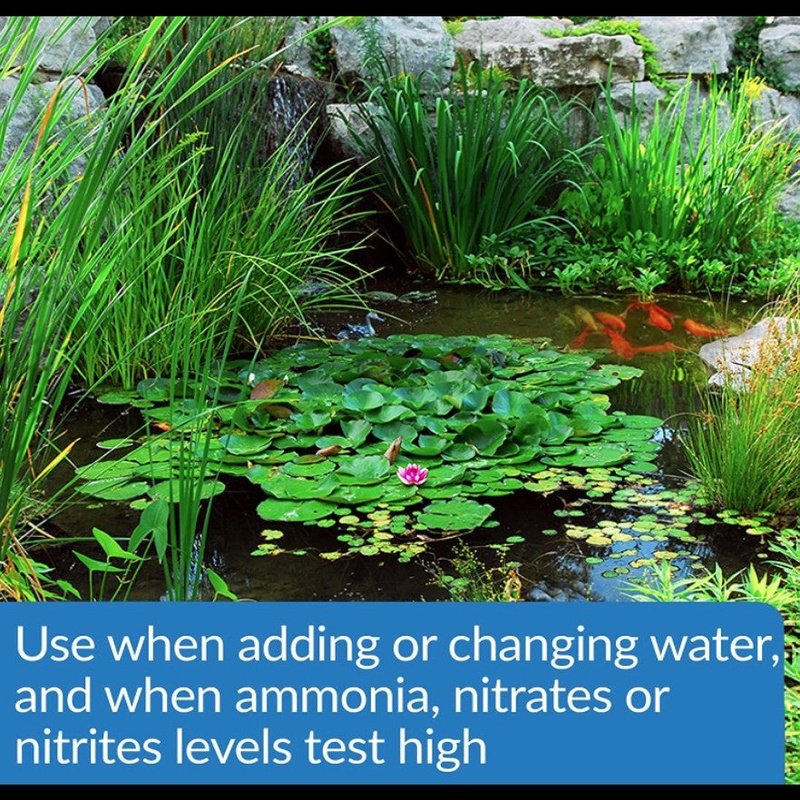 API Pond Aqua Essential - Aquatic Connect