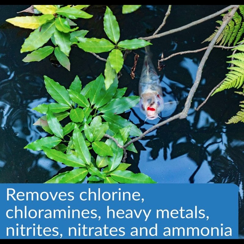 API Pond Aqua Essential - Aquatic Connect