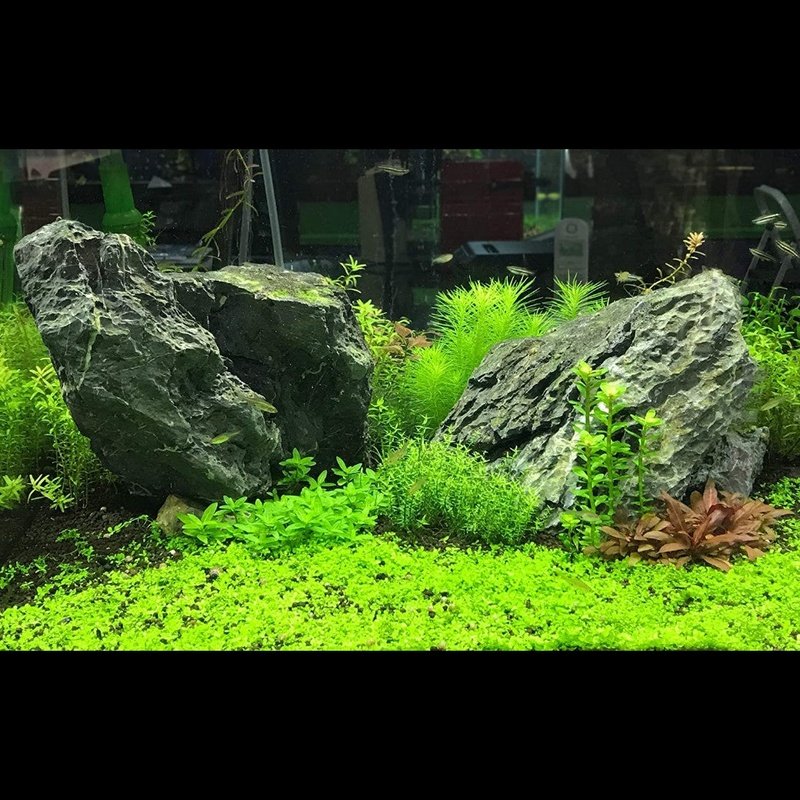 Seachem Flourish Trace - Aquatic Connect