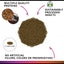 Fluval Bug Bites Color Enhancing Formula for Medium-Large Fish - Aquatic Connect